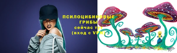 Альфа ПВП Горнозаводск