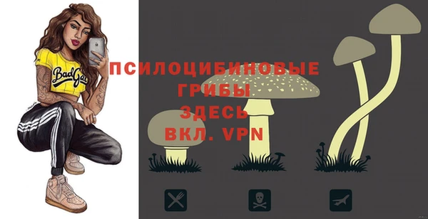 таблы Волоколамск