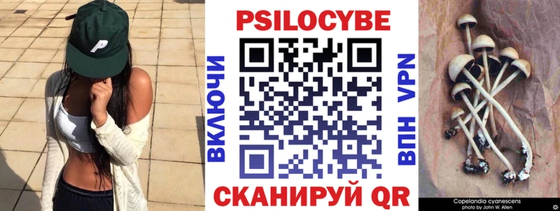 Купить  Красноармейск  Псилоцибиновые грибы MAGIC MUSHROOMS 